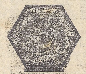 A.L. - Orthospiral — Illustration 1