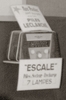 Image.