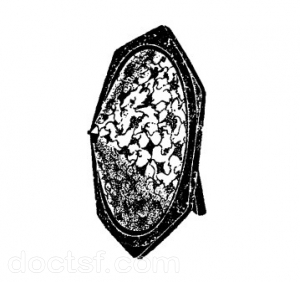 Philips - 2017 — Illustration 1