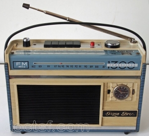 Pizon Bros - Translitor 1300 FM — Illustration 2