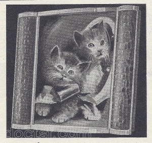 S.I.C.A. - Stop Type A  (Cadre) — Illustration 1
